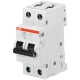 S202M-C25 Miniature Circuit Breaker - 2P - C - 25 A