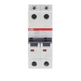 ST202M-B40 Miniature Circuit Breaker - 2P - B - 40 A