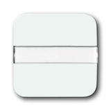2510 NLI-214 CoverPlates (partly incl. Insert) carat® Alpine white