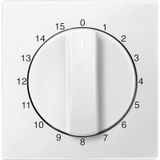 Central plate for timer insert 15 min, polar white, system M 539319