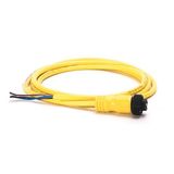 Allen-Bradley, 889N-F4AEC-6F, Mini/Mini Plus, Female, Straight, 4-Pin, PVC Cable, Yellow, Unshielded, US Color Coded, No Connector, 6 feet (1.83 meters)