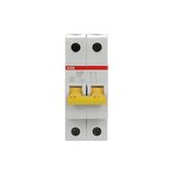 SV202-C20 Miniature Circuit Breaker - 2P - C - 20 A