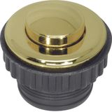 Push-button, NO contact, TS, gold glossy, 24-carat galvanised