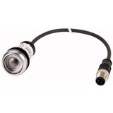 Pushbutton, Flat, momentary, 1 NC, Cable (black) with M12A plug, 4 pole, 0.5 m, Without button plate, Bezel: titanium