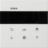 S3000 blind timer + timer Display Gira F100 p.white
