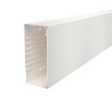 WDK100230RW Wall trunking system with base perforation 100x230x2000
