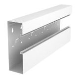GS-AT70210RW  Part T, for Rapid 80 channel, 70x210mm, pure white Steel