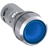 Illuminated Push Button Blue CP1-31L-01