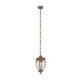 Outdoor  Fleur Pendant Lamp Black with Gold