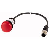 Indicator light, Flat, Cable (black) with M12A plug, 4 pole, 0.5 m, Lens Red, LED Red, 24 V AC/DC