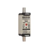 Fuse-link NH000 gG 500VAC 100A isolated tags Double indicator