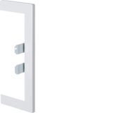 Wall cover plate BRP/BRAP/BRHP 65x170 tw