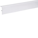 Trunking 20x50,pure white