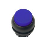 Illuminated pushbutton actuator, RMQ-Titan, Extended, momentary, Blue, Blank, Bezel: black