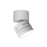 Reef CCT Adjustable Surface Downlight White