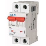 Miniature circuit breaker (MCB), 10 A, 2p, characteristic: D