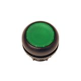 Pushbutton, RMQ-Titan, Flat, maintained, green, Blank, Bezel: black