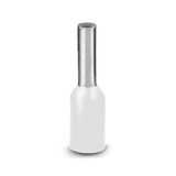 Ferrule