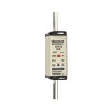 Fuse-link NH1 gG 500VAC 16A isolated tags Double indicator