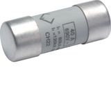 Cylindrical fuse-links for industrial applications 22x58mm gG 40A 690V