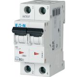 Miniature circuit breaker (MCB), 63 A, 2p, characteristic: B