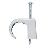 Wall nail clip with steel nail 4-7mm/2.0x25mm
