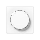 Centre plate with knob for rotary dimmer