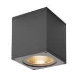 BIG THEO CEILING, outdoor ceiling light, LED, anthracite