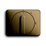 2542 DR/01-21 CoverPlates (partly incl. Insert) carat® bronze