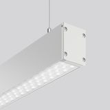 LINEDO single IP54, 31 W, 4850 lm, 840, aluminium, DALI Pendant lumina