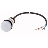 Indicator light, Flat, Cable (black) with non-terminated end, 4 pole, 1 m, Lens white, LED white, 24 V AC/DC