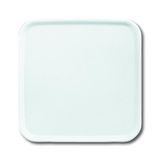 2548-214-50 A CoverPlates (partly incl. Insert) carat® Alpine white