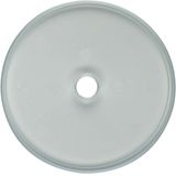 Glass cover plate for rot. switch/spring-return push-button, clear glo