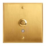 Art d'Arnould universe Memory illuminated push button round 2A - brushed gold