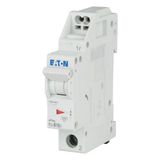 Miniature circuit breaker (MCB) with plug-in terminal, 16 A, 1p, characteristic: B