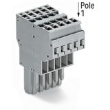 2-conductor female connector CAGE CLAMP® 4 mm² gray