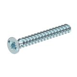 ZA 25-GS-S Device screw for flush-mounting/cavity wall ¨3,2mm,25mm