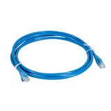 Patch cord RJ45 category 6 UTP PVC 2 meters