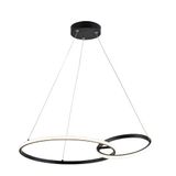 Pendant Light Double