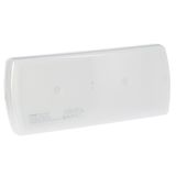 Emergency luminaire U21 - std non maintained - 1 h - 100 lm - LED