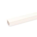 LE 6090 TW rws  Channel LE, for cable storage, 2000x90x60, pure white Polyvinyl chloride