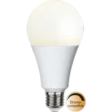 LED-lamp E27 A80 High Lumen