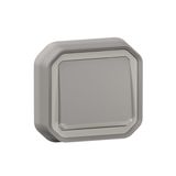 Plexo 10A waterproof switch or two-way indicator supplied complete for recessed mounting with gray claws