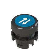 Blue flushed push button with marking E2 1PU2R621L31