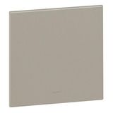 US blanking cover plate Arteor - for 4''x4'' boxes - champagne