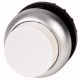 Pushbutton, RMQ-Titan, Extended, maintained, White, Blank, Bezel: titanium