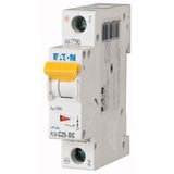 Miniature circuit breaker (MCB), 25 A, 1p, characteristic: C, DC