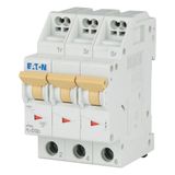 Miniature circuit breaker (MCB) with plug-in terminal, 13 A, 3p, characteristic: C