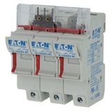 Fuse-holder, low voltage, 50 A, AC 690 V, 14 x 51 mm, 3P, IEC
