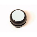 Pushbutton, RMQ-Titan, Flat, maintained, Without button plate, Bezel: black